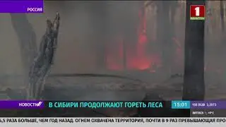 В Сибири горит лес: огнем охвачено более чем 60  тысячах гектаров