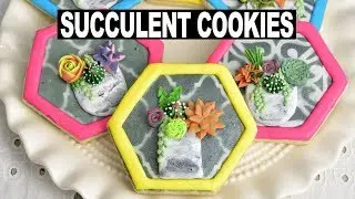 HOW TO MAKE SUCCULENT COOKIES