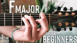 How To Play F Guitar Chord // Beginner Guitar Chord Series #17 #Shorts