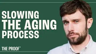 Can We Cure Aging?: Unpacking the Interventions | Andrew Steele, PhD | The Proof Podcast EP 