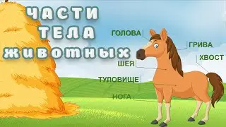 Учим домашних животных. ЧАСТИ ТЕЛА животных.