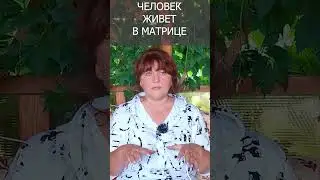 Человек живет в матрице#shorts Ирина Белова