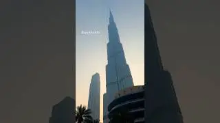Habibi welcome to Burj khalifa! 😍 #burjkhalifa #habibicometodubai #shorts