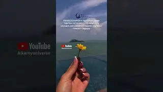 Авторлық «ТАҒДЫР ХАТЫ» дайын 25 жазу үлгілері + МОЛШЫЛЫҚ ЧЕГІ сатылымда бар!