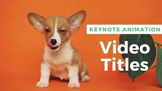 How to Animate with Keynote: Video Title & Lower Third