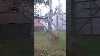 Попробуйте и вы!