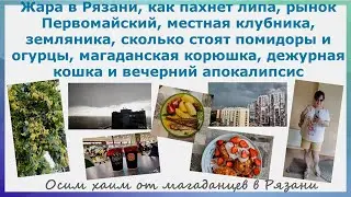 Жара в Рязани, как пахнет липа, рынок Первомайский, местная клубника, земляника, магаданская корюшка