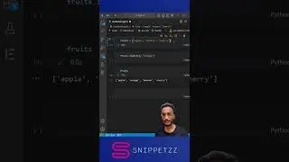 Python List Manipulation: Append, Insert, and Extend