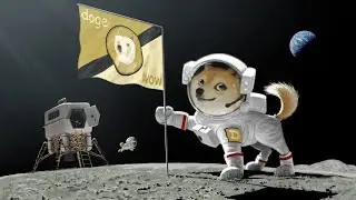 Intro to Dogecoin and Crypto 2021