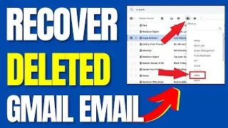 How to Recover Permanently Deleted Emails from Gmail (2024)