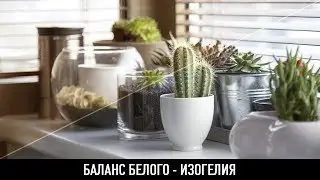 Как исправить баланс белого?