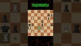 Красивая задачка на мат в 2 хода! 