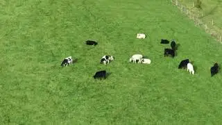 DJI Mavic 3 7x Zoom Sample footage