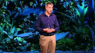 Daniel Wolpert: The real reason for brains