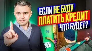 Не плачу кредит, что будет? Что должен знать должник, если нечем платить кредит?