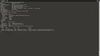 1.6 - Kubernetes Basics: Scaling an Application