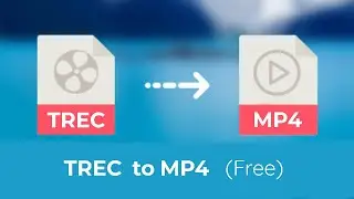 How to Convert TREC to MP4 (Easy & Simple)