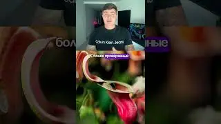 КОРЕНЬ КРАПИВЫ - МОЙ ОПЫТ (ЭКСПЕРИМЕНТ) | СНИЖАЕТ ЛИ ГСПГ? | ТЕСТОСТЕРОН 💊 #андрей_арбенин