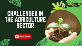 The Challenges Facing the Agriculture Sector