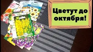 😍"Изумительные, ароматные, красивые": Обзор семян цветов, которые я купила на 2022 год 🌺