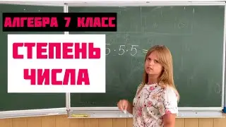 СТЕПЕНЬ ЧИСЛА  \\ Алгебра 7 класс