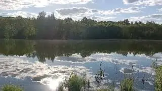 тульская область венёвский район село Васильевское.