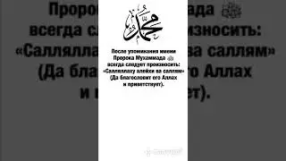 Дэрс Мухьэммэд бегъымбарым Саллаллаху алейхи ва саллям игъащ1эр къызэрек1уэк1ам теухуауэ  24 часть