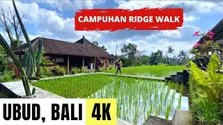 UBUD, BALI, INDONESIA 🇮🇩 [4K] Campuhan Ridge Walk