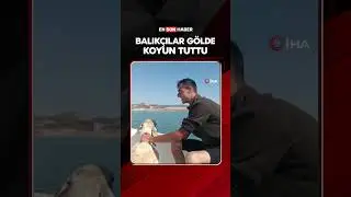 Balıkçılar gölde koyun tuttu 