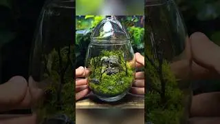 Building an Ecosystem In a Glass Egg!