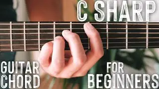 How To Play C Sharp Major Guitar Chord // Beginner Guitar Chord Series #7 #Shorts