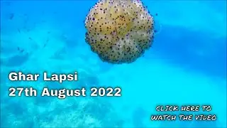 Għar Lapsi, Malta (27 Aug 2022)