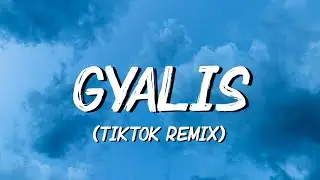 Capella Grey - GYALIS (TikTok Remix) Lyrics | like what is the reason it's just a vibe i'm that guy