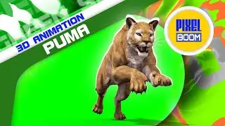 Green Screen Puma Feline Animals 3D Animation PixelBoom