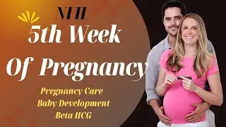 Week 5 of Pregnancy | Fifth Week of Pregnancy: Symptoms, Care, and Baby Development