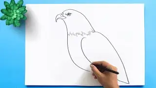 How to Draw a Bald Eagle 🦅| Bald Eagle Drawing Easy Step by Step | Draw the national Bird of USA