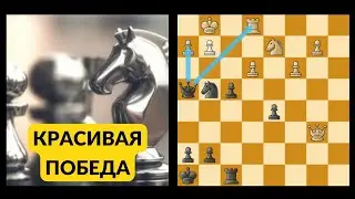 Красивая победа Бориса Гельфанда