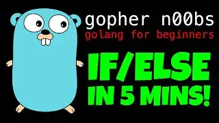 GOLANG IF ELSE STATEMENTS IN 5 MINUTES!!!!! Go If/Else Tutorial for Beginners