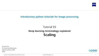 Tutorial 93 - Deep Learning terminology explained - SCALING