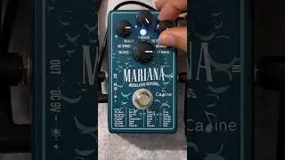 CALINE Mariana Modulated Reverbs // Weird Guitar Tone // Budget Octaver Sound #guitarpedals