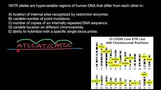 Why are VNTRs used in forensics?