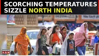 Heatwave Havoc Claims 15 Lives At NCR, Scorching Temperatures Sizzle North India | Heatwave News