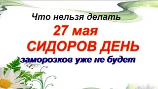 27 мая. ДЕНЬ СИДОРА.Следует терпеливо воспринимать происходящее. Приметы
