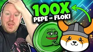 PEPECOIN OR FLOKI INU WHICH IS MAKING YOU MILLIONS THIS BULL MARKET