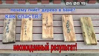 Почему гниет древесина в бане, чем ее обработать? Эксперимент, результат шокирует!