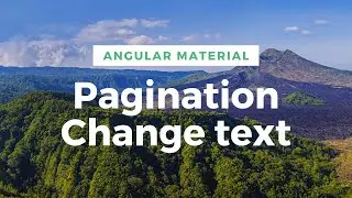 Angular material mat paginator change text itemsperpagelabel