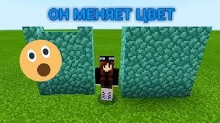 БЛОК ПРИЗМАРИНА МЕНЯЕТ ЦВЕТ! ВЫ ЗНАЛИ?