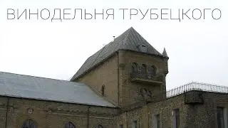 ЖИВО ЛИ ЧАСТНОЕ ВИНОДЕЛИЕ В УКРАИНЕ?🍇  ВИНОДЕЛЬНЯ КНЯЗЯ ТРУБЕЦКОГО! 🍷ПУТЕШЕСТВИЕ ПО УКРАИНЕ!