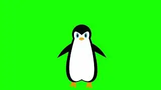 Penguins Birds cartoon on greenscreen free copyrights