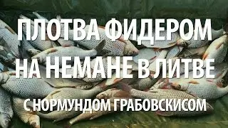 ФИДЕРНАЯ ЛОВЛЯ ПЛОТВЫ. РЫБАЛКА на НЕМАНЕ с НОРМУНДОМ ГРАБОВСКИСОМ в ЛИТВЕ